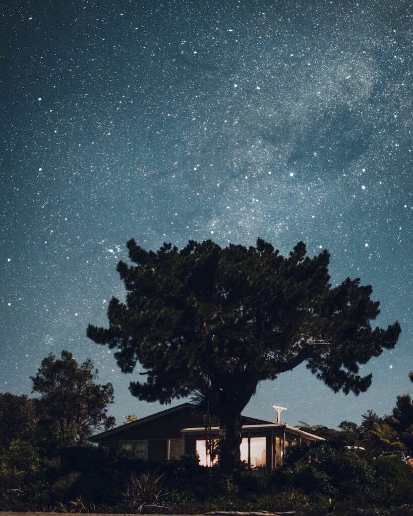 green leafed tree in front of a house under a starry sky during nighttime