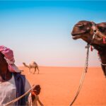 standing man beside camel on desert