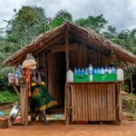 woman selling refreshments in a wooden hut in a jungle